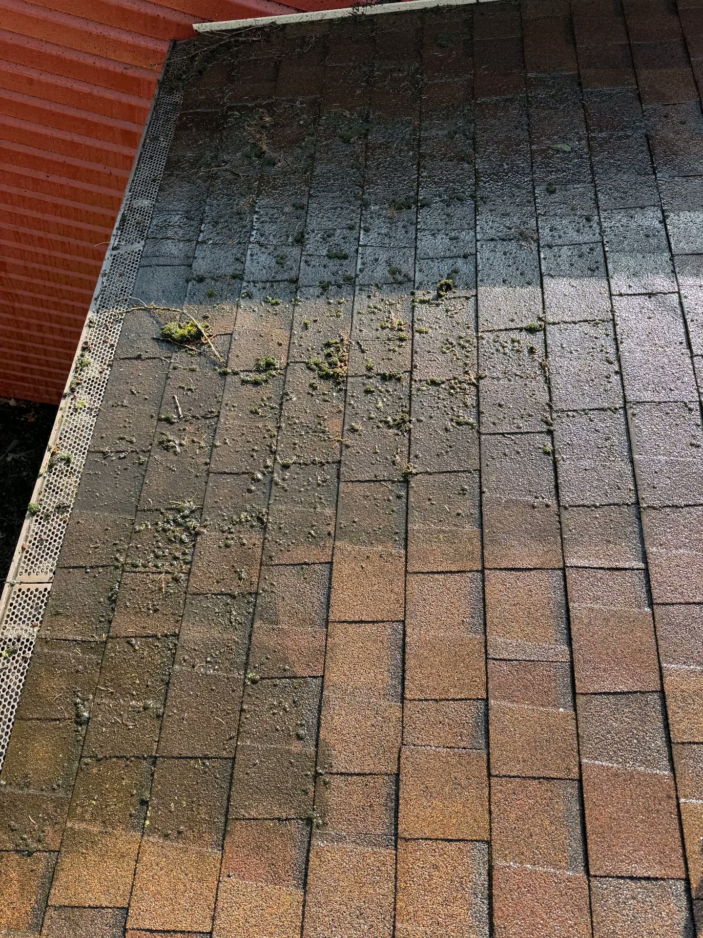 Shingle roof covered in black streaks and moss before cleaning